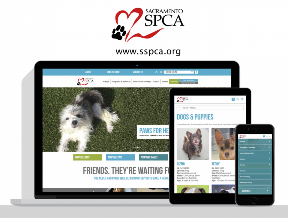 Sacramento SPCA  new website by Digital Deployment